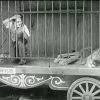charlie-chaplin-in-the-lions-cage